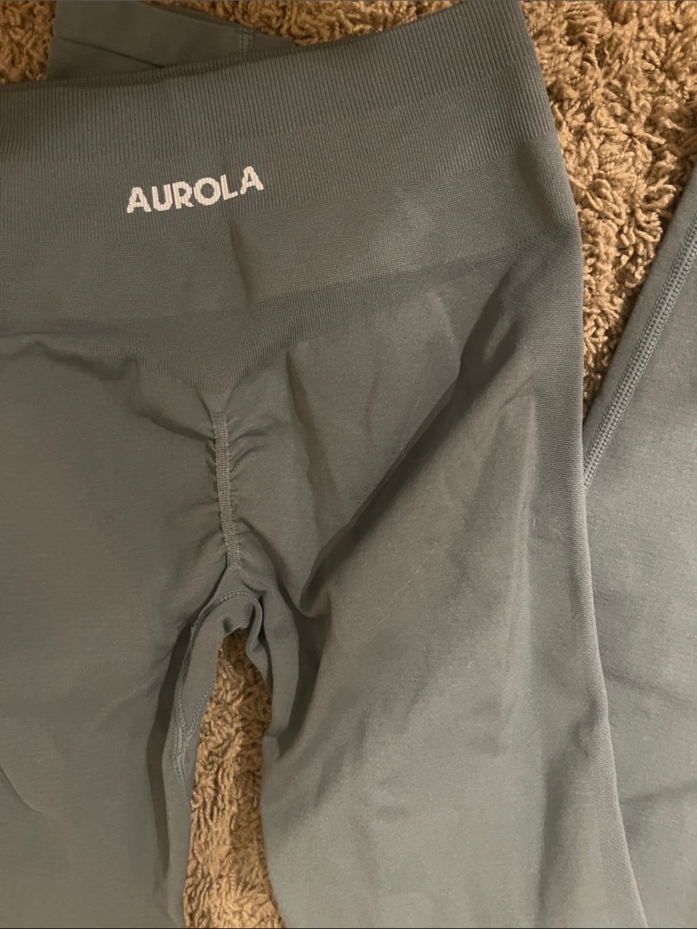 Aurola High-Waist Leggings in Slate Green